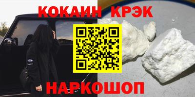 спайс Кингисепп
