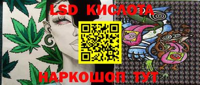 спайс Кингисепп