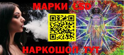 спайс Кингисепп