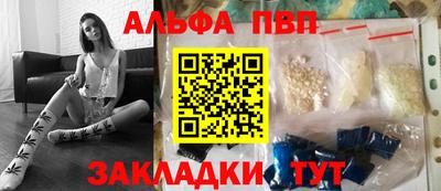 спайс Кингисепп