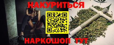 спайс Кингисепп