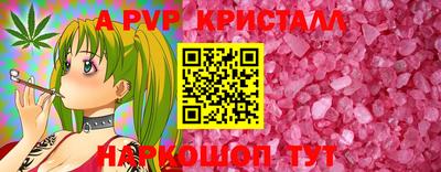спайс Кингисепп
